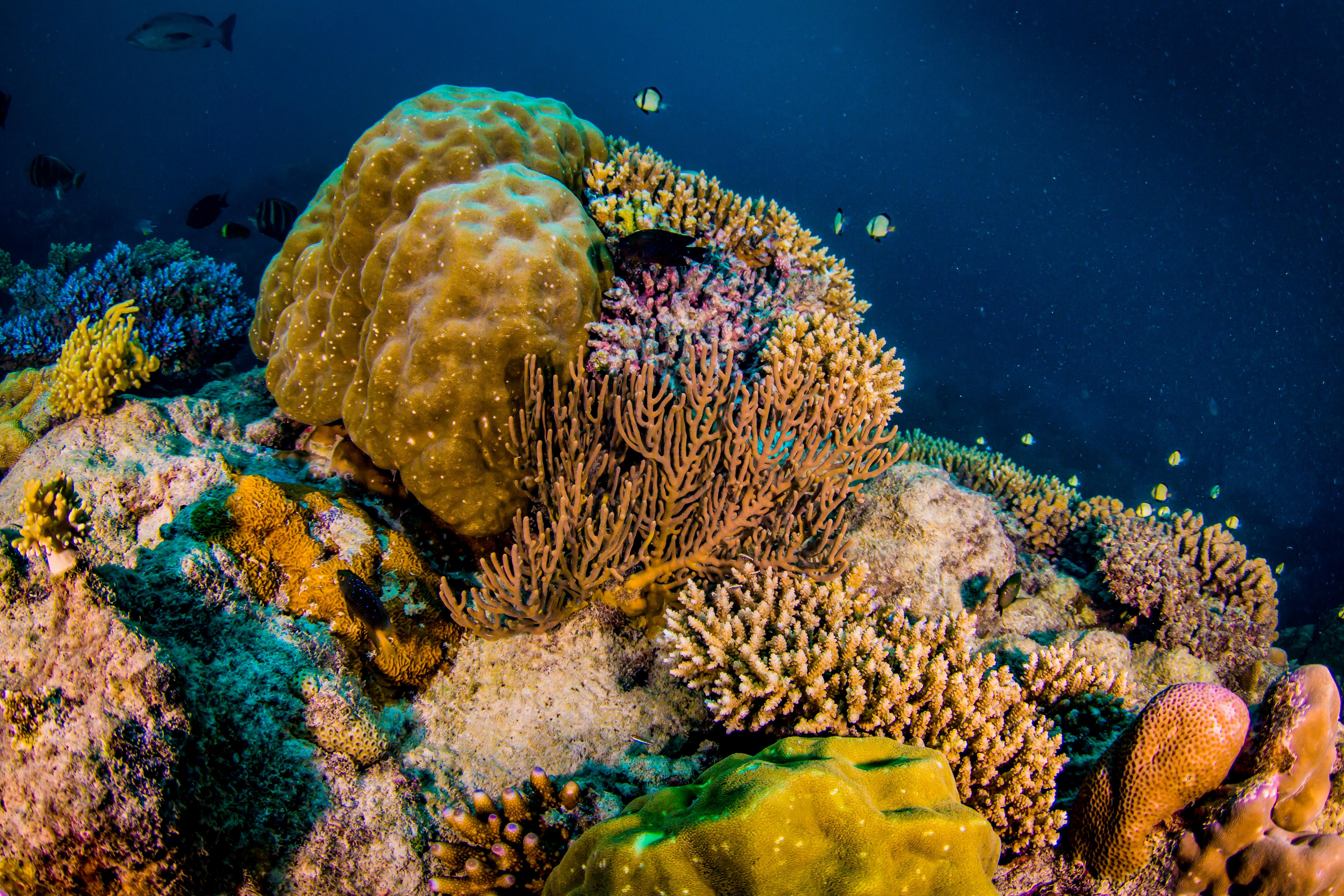 Great Barrier Reef